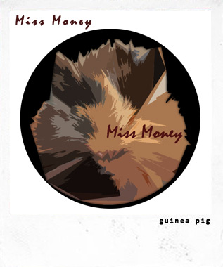 Miss Money Logo